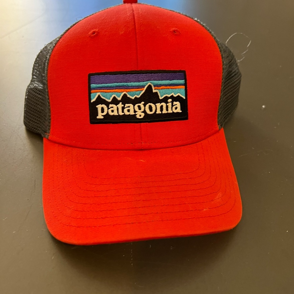 Patagonia Trucker Hat